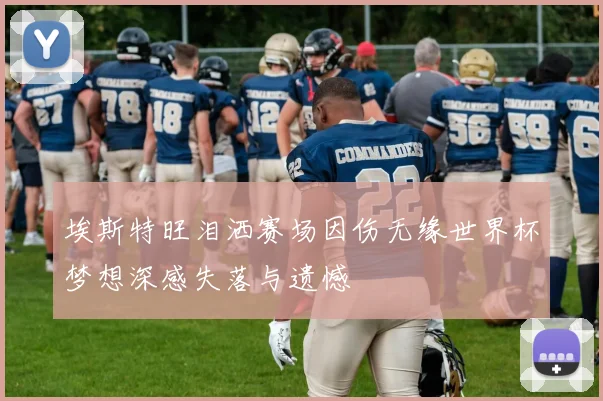 埃斯特旺泪洒赛场因伤无缘世界杯梦想深感失落与遗憾